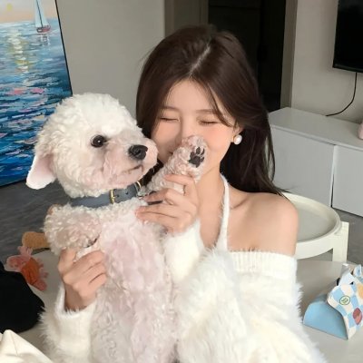 圣诞接班人