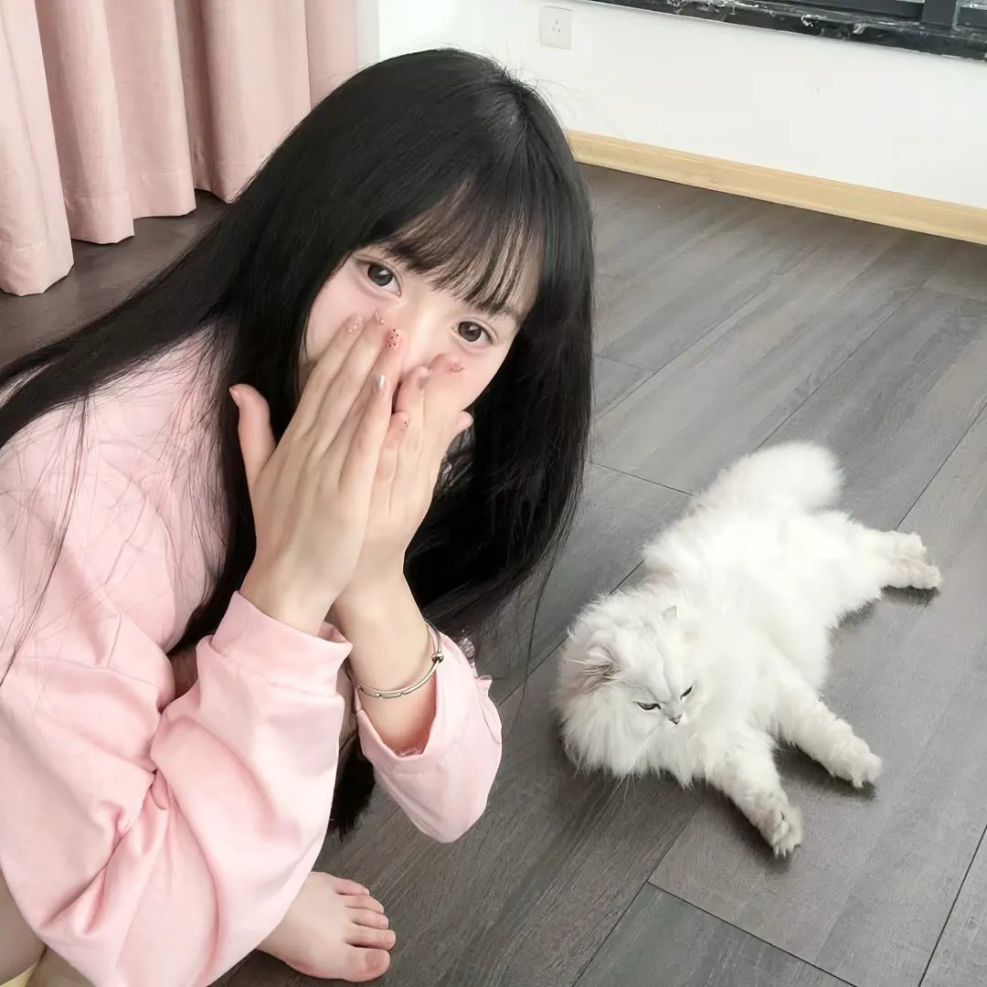 尸姬 赫
